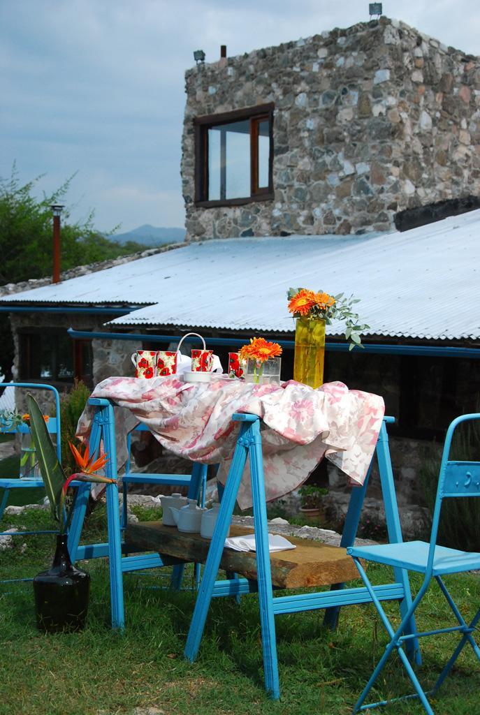 Propuestas, detalles y colores